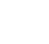 Akademi Organizasyon
